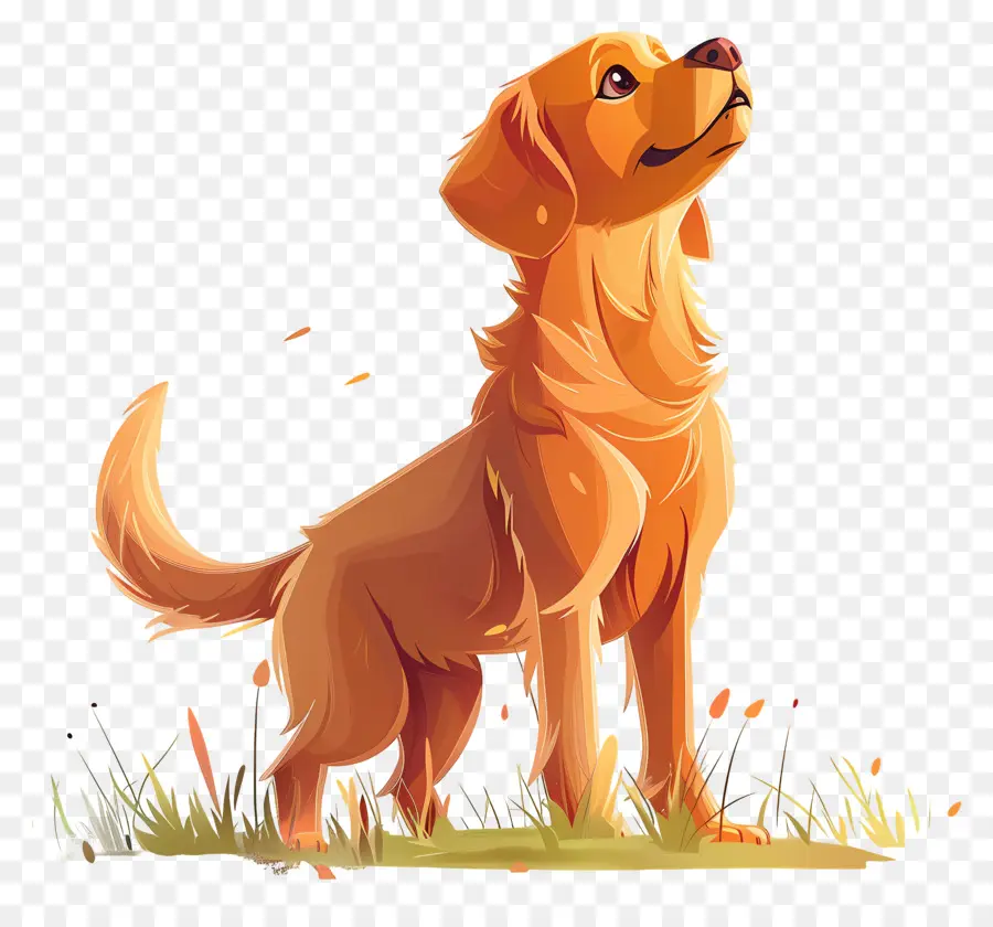 Chien Golden Retriever，Golden Retriever PNG