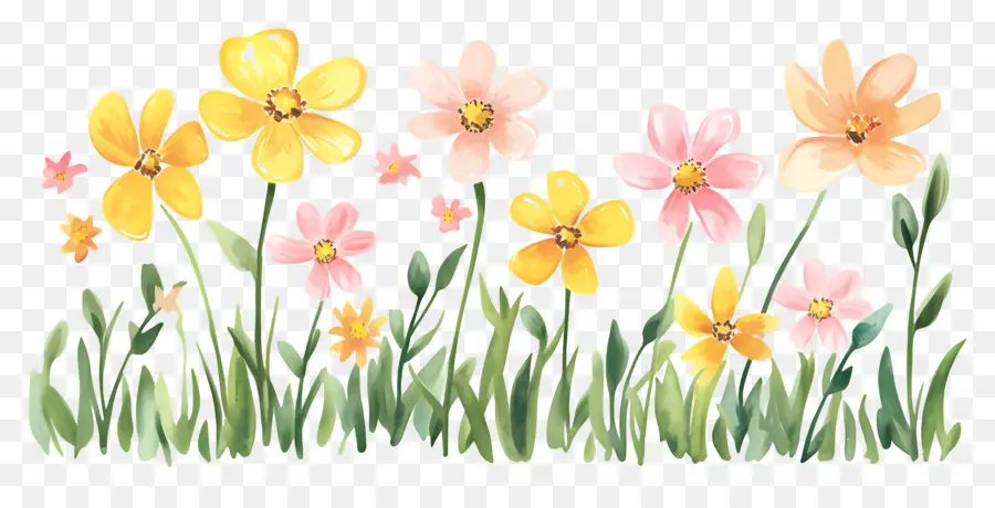 Bordure De Fleurs，Fleurs PNG