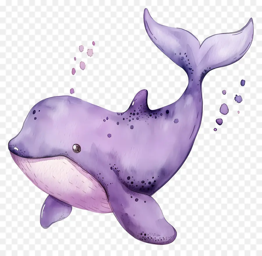 Baleine Aquarelle，Baleine Violette PNG