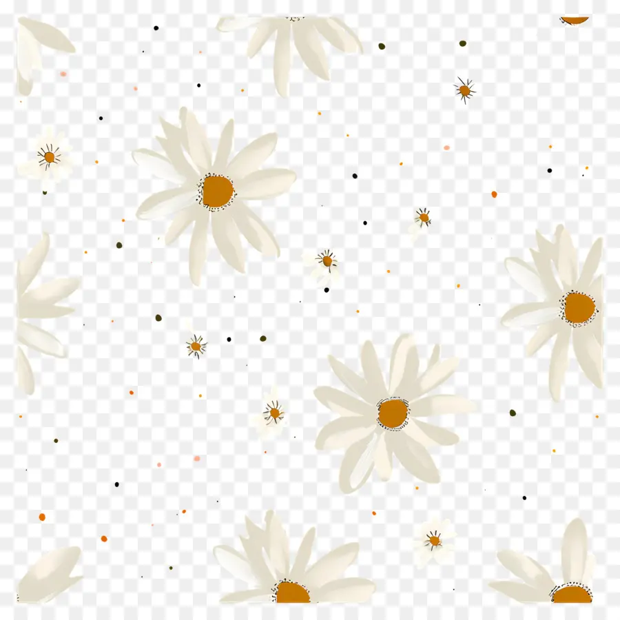 Motif De Marguerite，Marguerites PNG