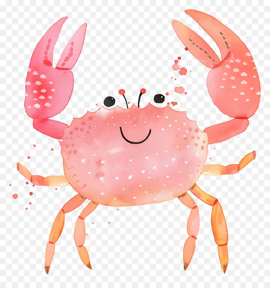 Crabe Aquarelle，Crabe De Dessin Animé PNG