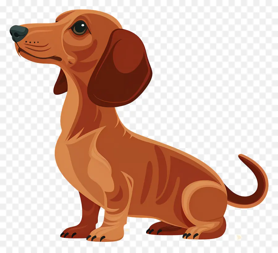 Chien Animé，Chien Brun PNG