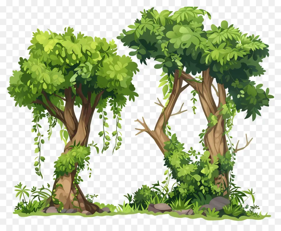 Grand Arbre，Arbres Verts PNG