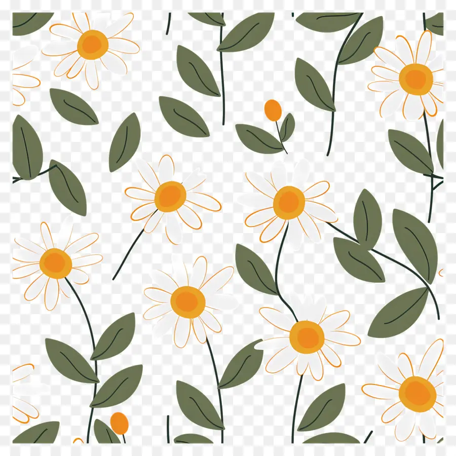 Motif De Marguerite，Fleurs Blanches PNG