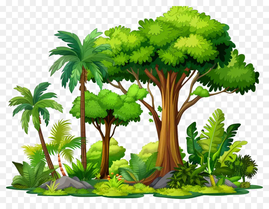 Grand Arbre，Arbres Verts PNG