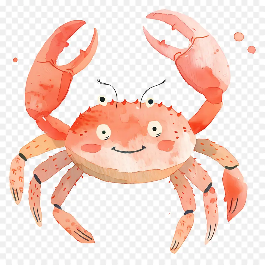 Crabe Aquarelle，Crabe De Dessin Animé PNG