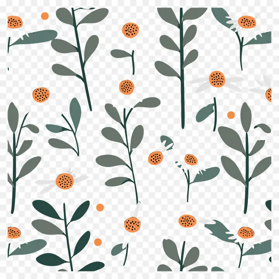 Motif De Marguerite，Plantes à Motifs PNG