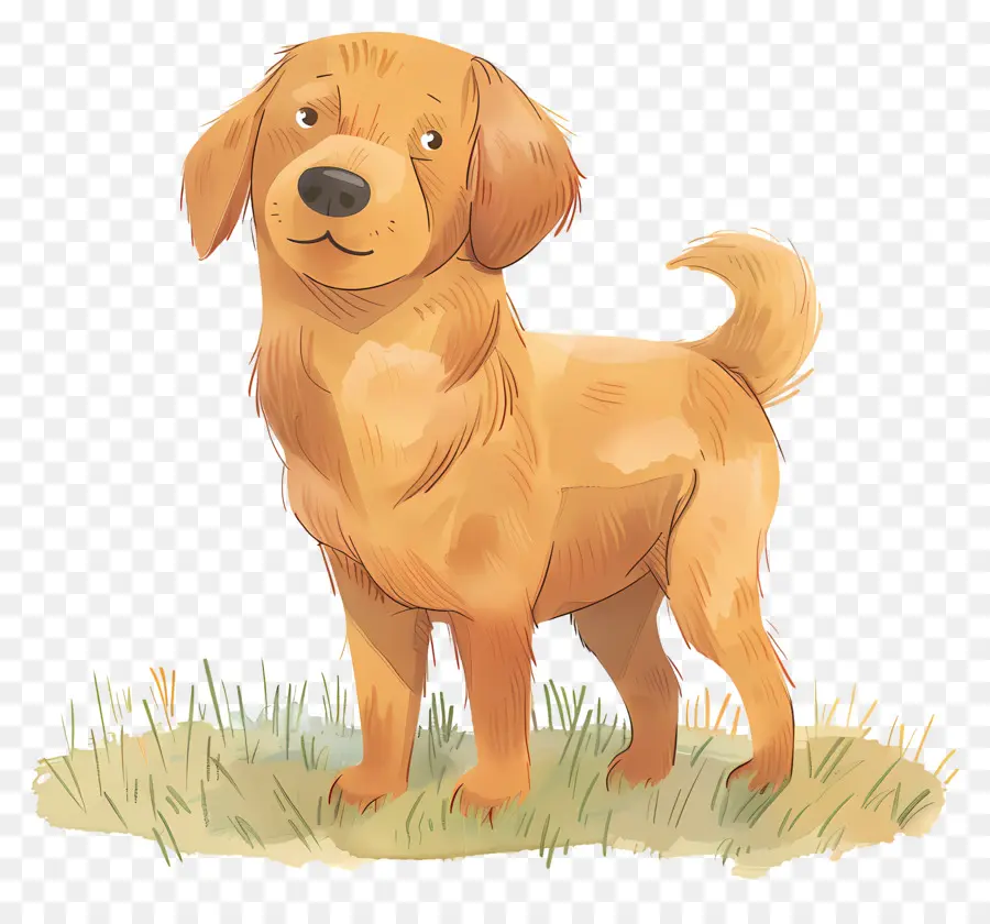 Chien Golden Retriever，Chien Brun PNG