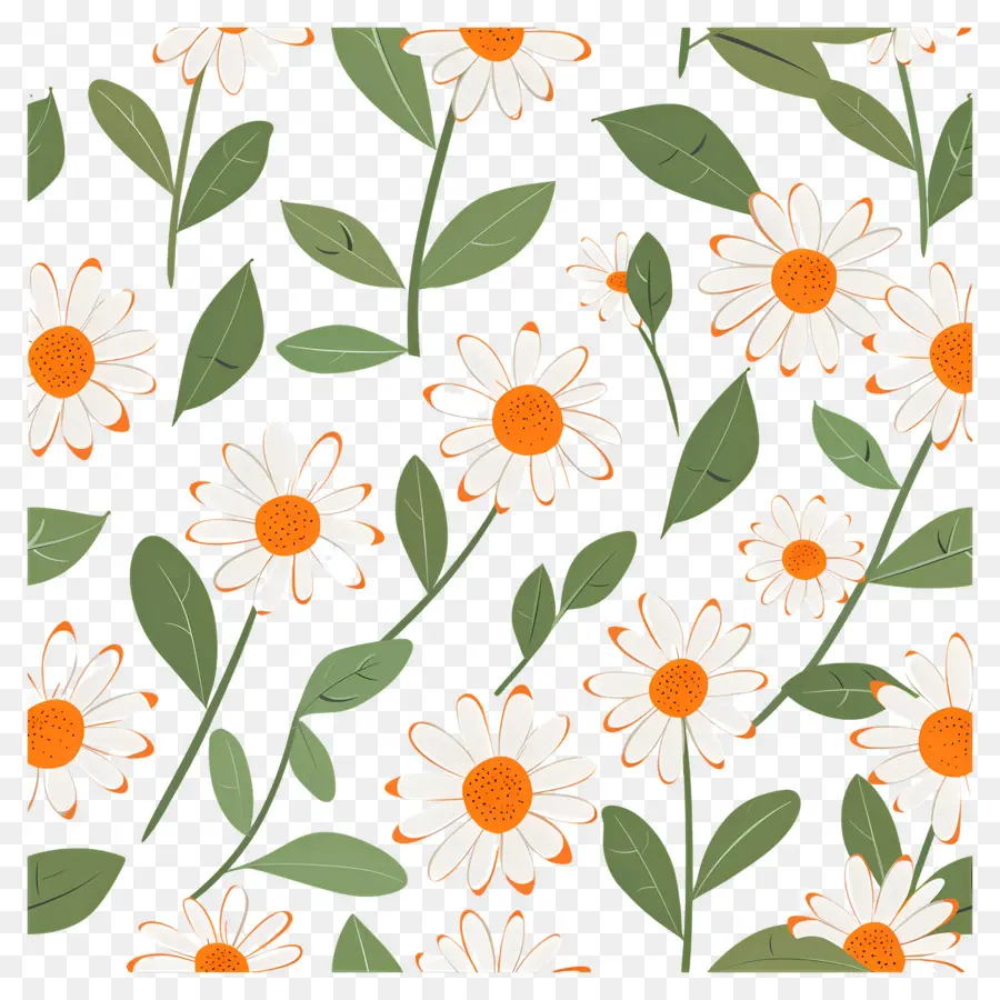 Motif De Marguerite，Marguerites PNG