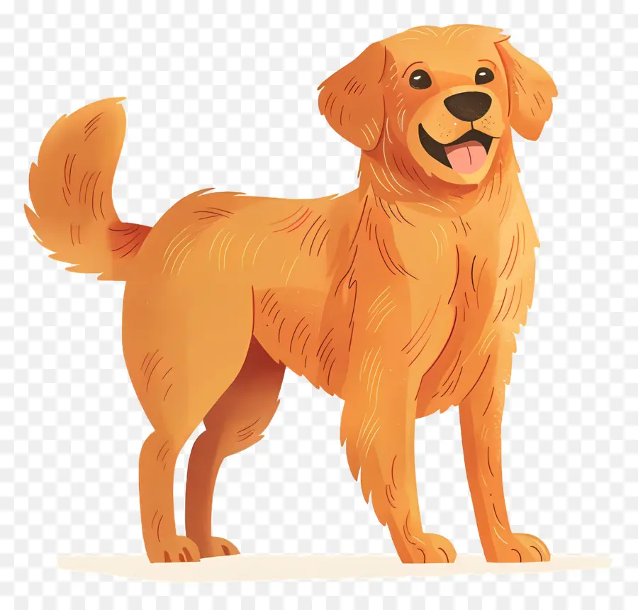 Chien Golden Retriever，Golden Retriever PNG