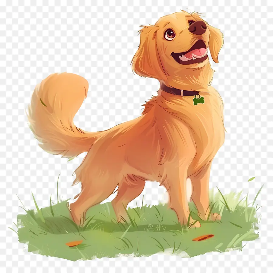 Chien Golden Retriever，Golden Retriever PNG