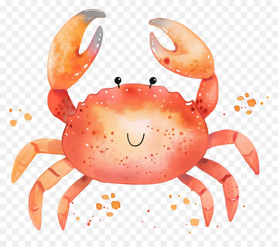 Crabe Aquarelle，Crabe Coloré PNG