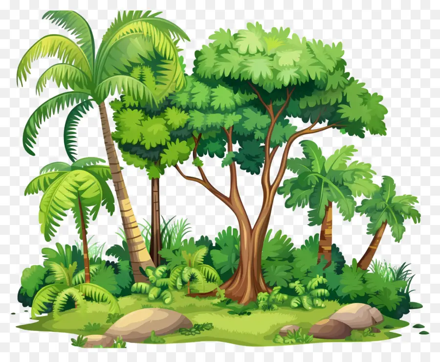 Grand Arbre，Arbres Verts PNG