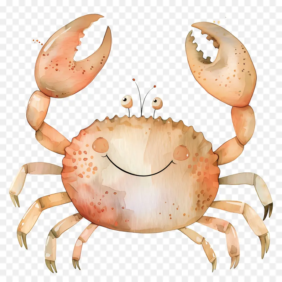 Crabe Aquarelle，Crabe Coloré PNG