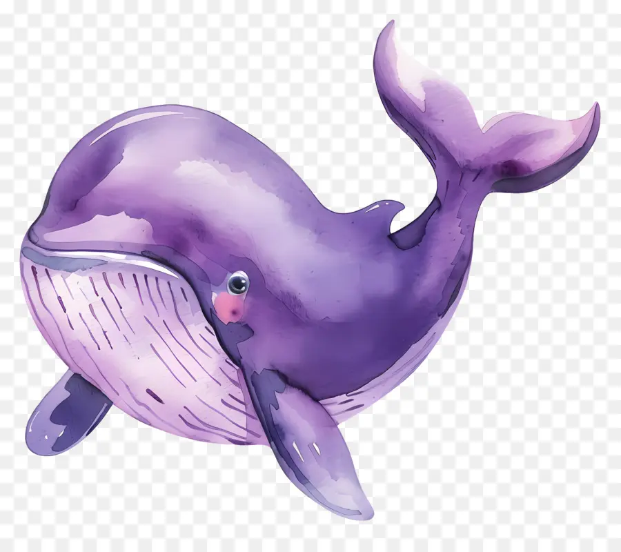 Baleine Aquarelle，Baleine De Dessin Animé PNG