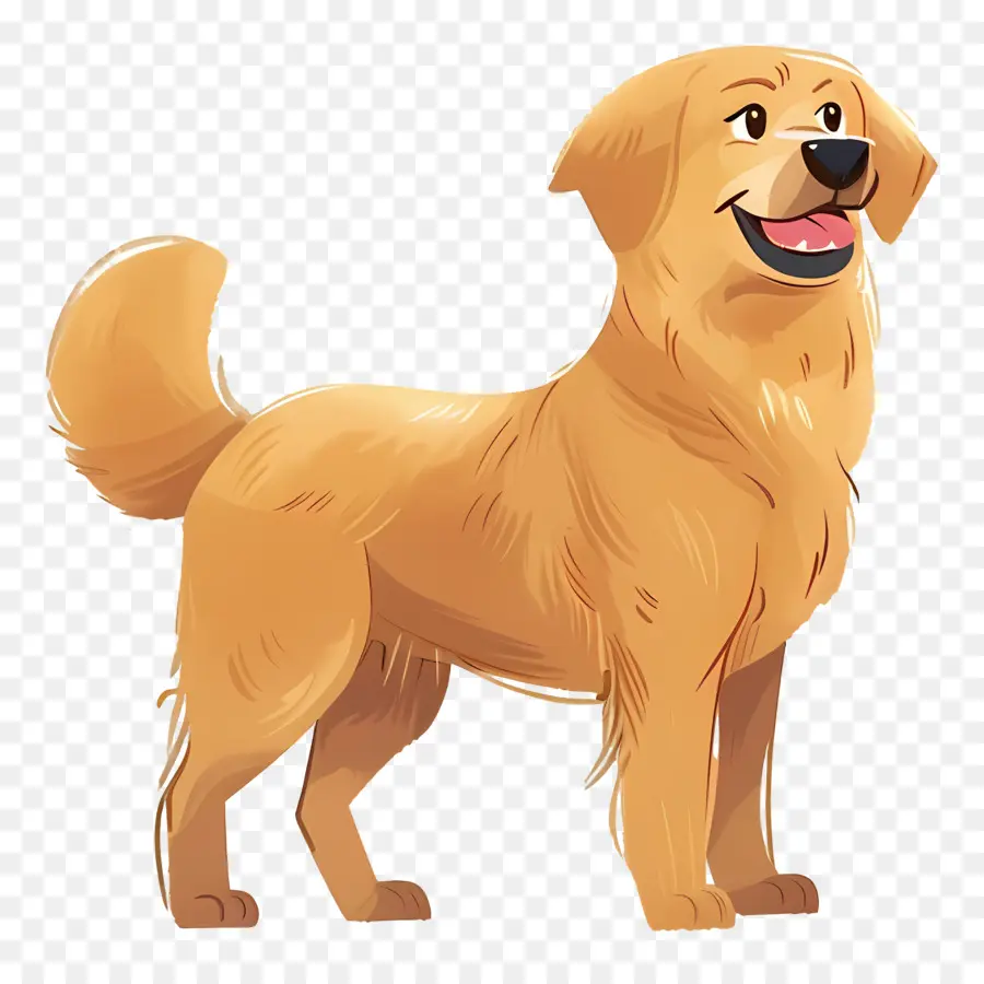 Chien Golden Retriever，Golden Retriever PNG