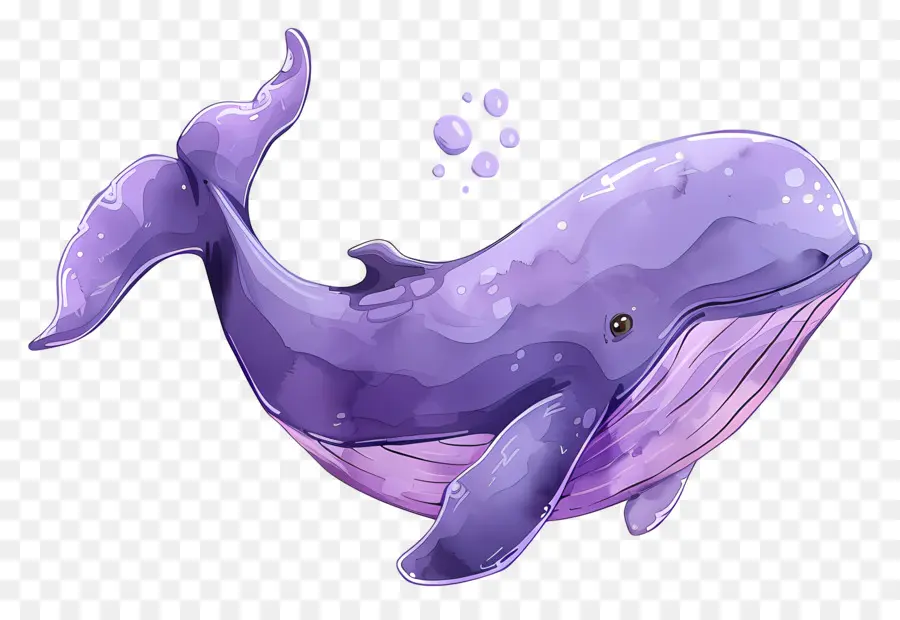 Baleine Aquarelle，Baleine Violette PNG