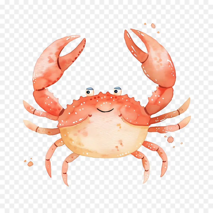 Crabe Aquarelle，Crabe Coloré PNG