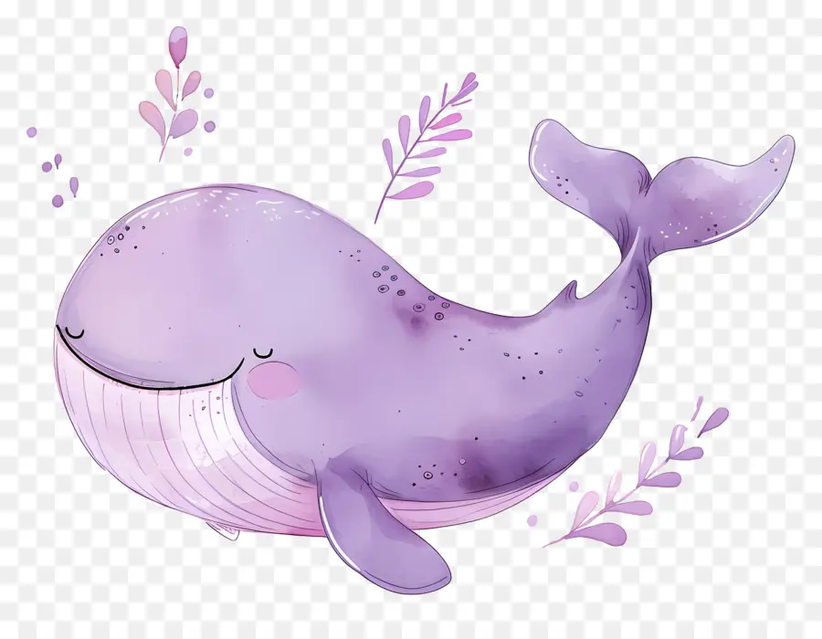 Baleine Aquarelle，Baleine Violette PNG