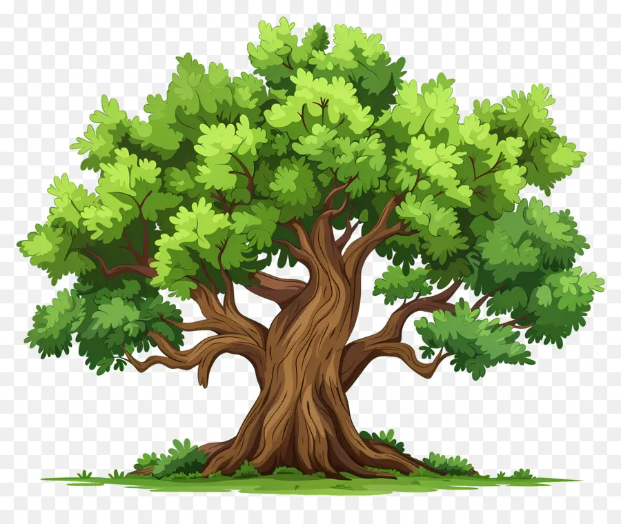 Grand Arbre，Arbres De Dessin Animé PNG