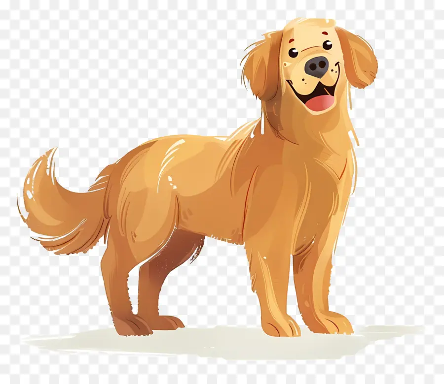 Chien Golden Retriever，Golden Retriever PNG