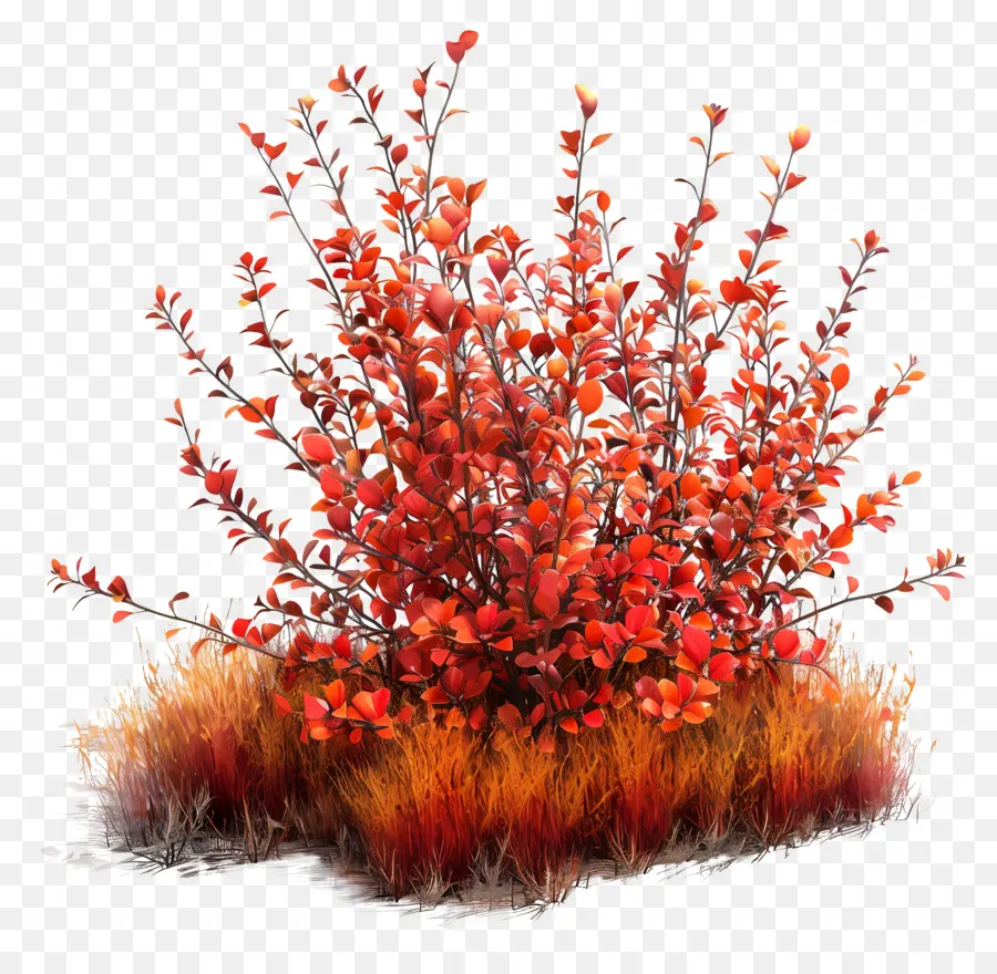 Buissons D'automne，Buisson Rouge PNG