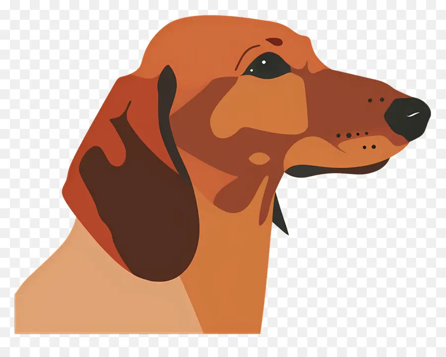 Chien Animé，Profil De Chien PNG