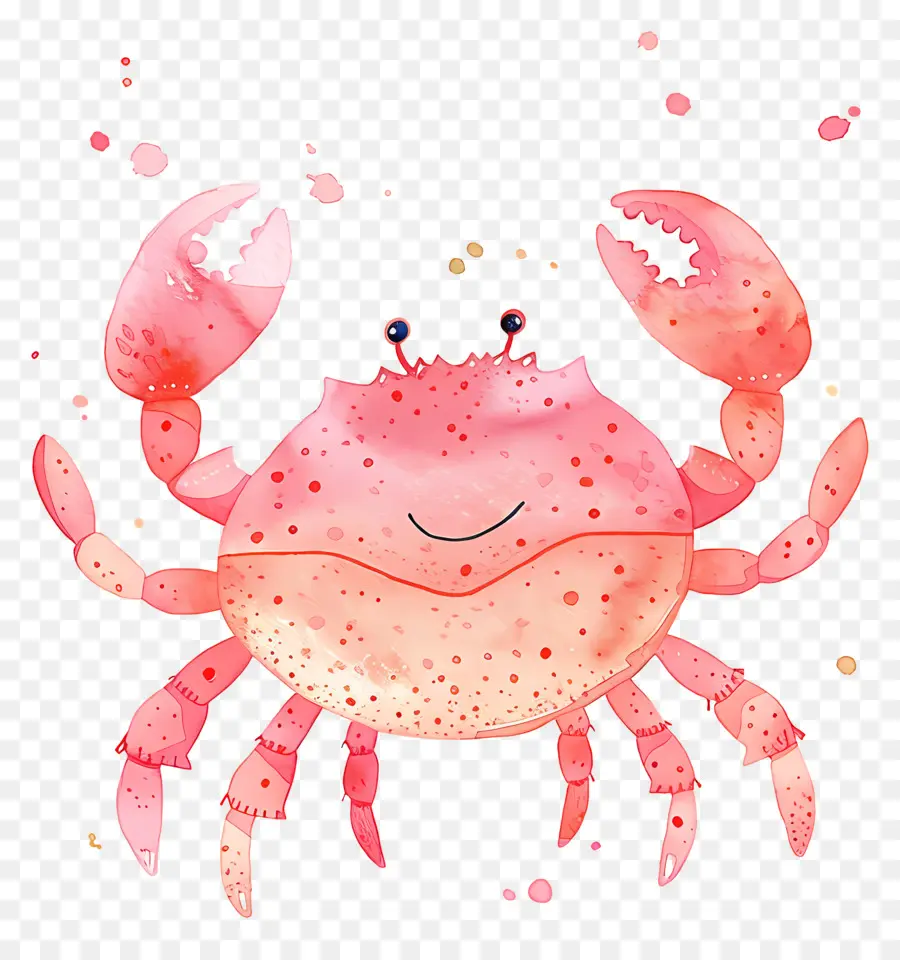 Crabe Aquarelle，Crabe De Dessin Animé PNG