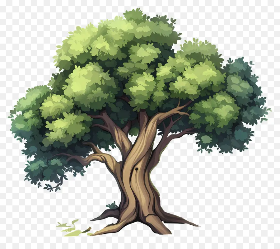 Grand Arbre，Arbres De Dessin Animé PNG