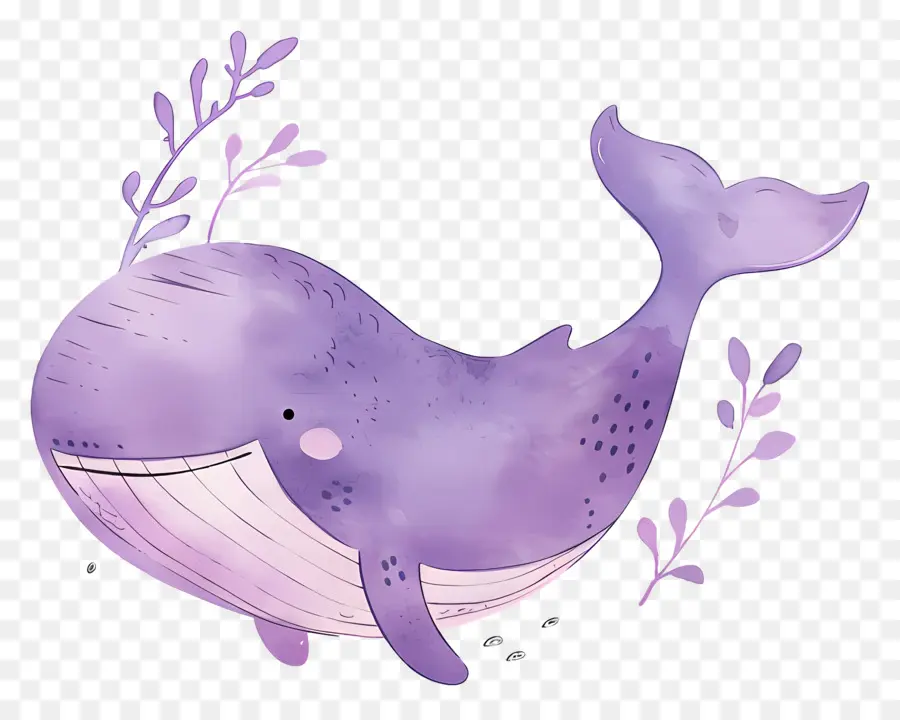 Baleine Aquarelle，Baleine Violette PNG