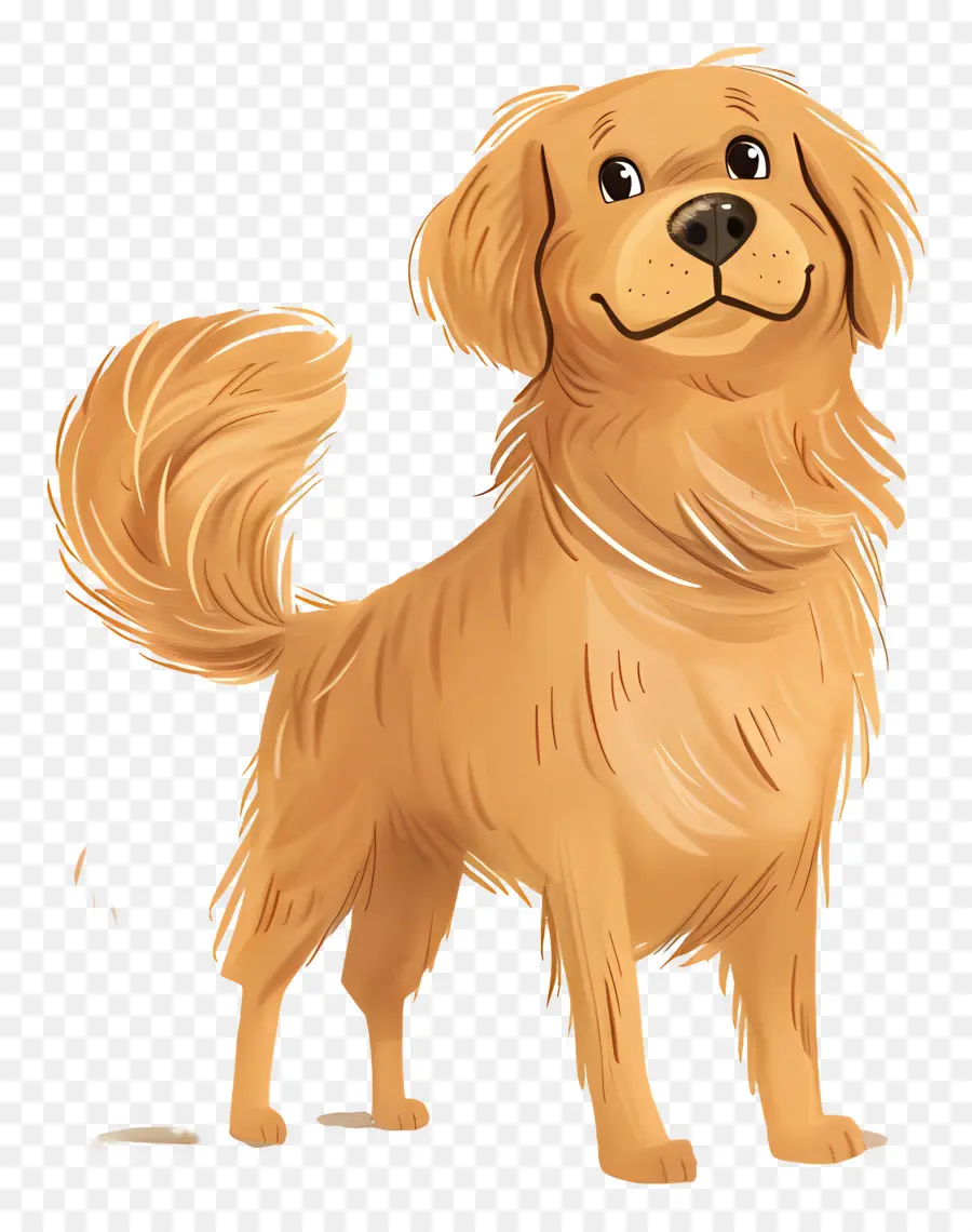 Chien Golden Retriever，Chien D'or PNG