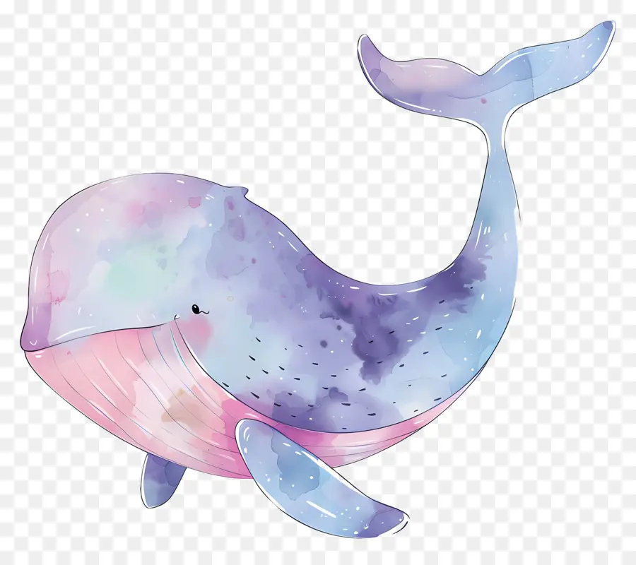 Baleine Aquarelle，Baleine PNG