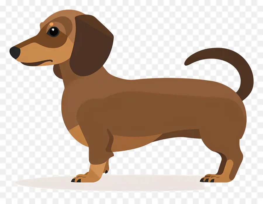 Chien Animé，Chien De Dessin Animé PNG