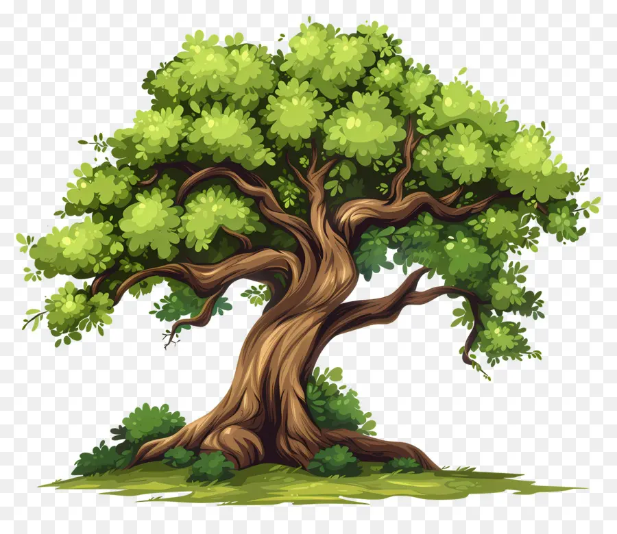 Grand Arbre，Arbres De Dessin Animé PNG