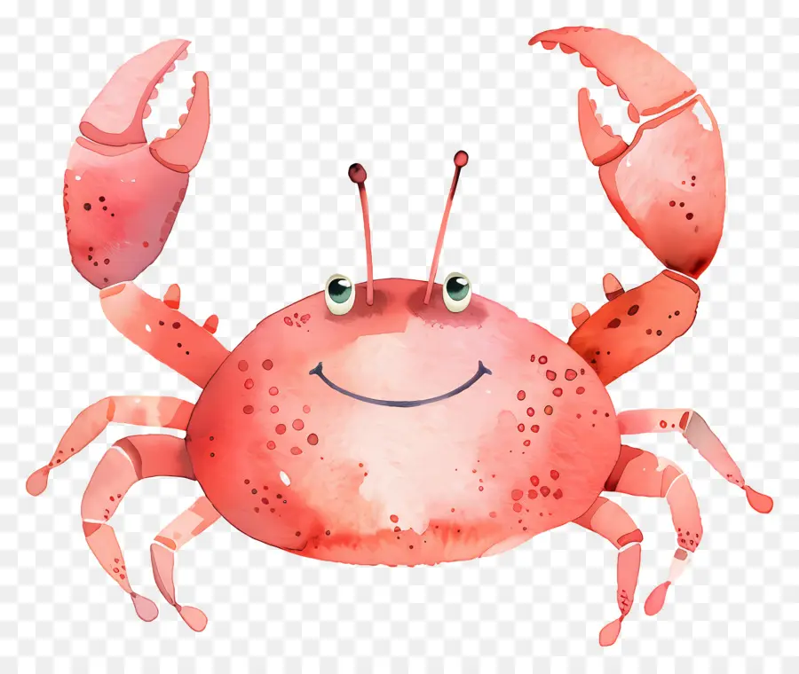 Crabe Aquarelle，Crabe Coloré PNG