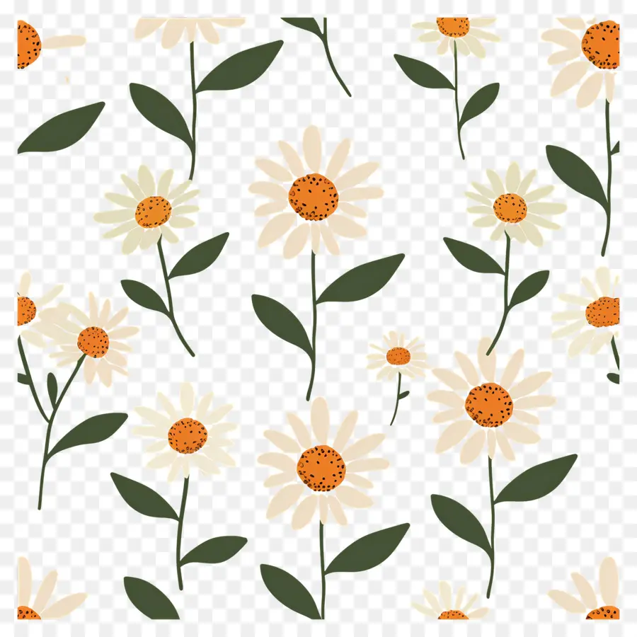 Motif De Marguerite，Marguerites PNG