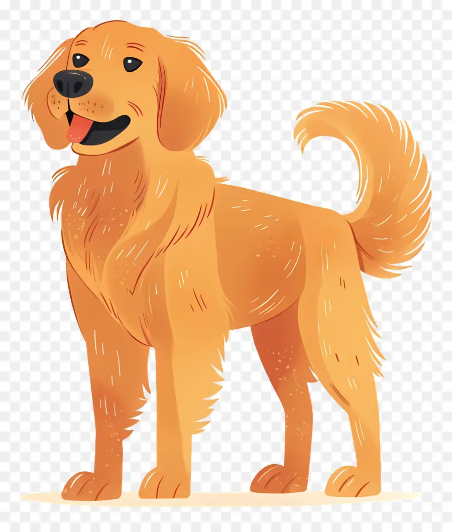 Chien Golden Retriever，Chien De Dessin Animé PNG