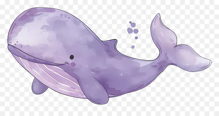 Baleine Aquarelle，Baleine PNG