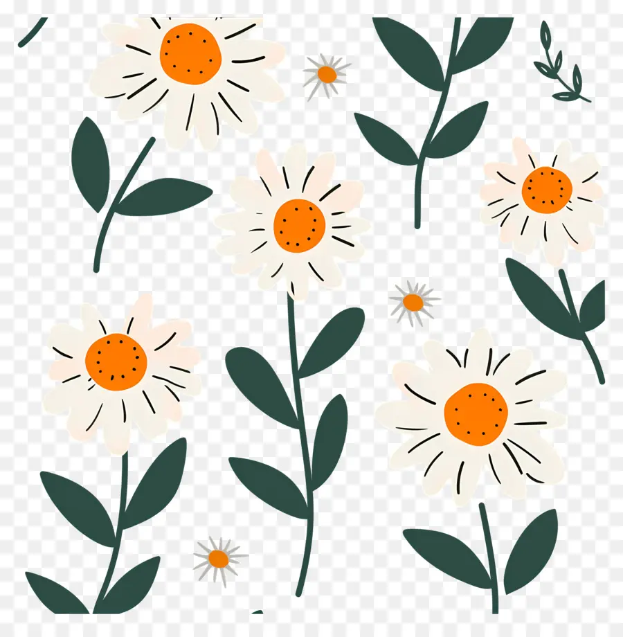 Motif De Marguerite，Marguerites Griffonnées PNG