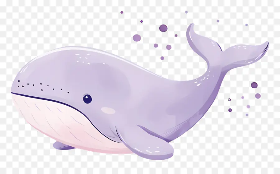 Baleine Aquarelle，Baleine De Dessin Animé PNG