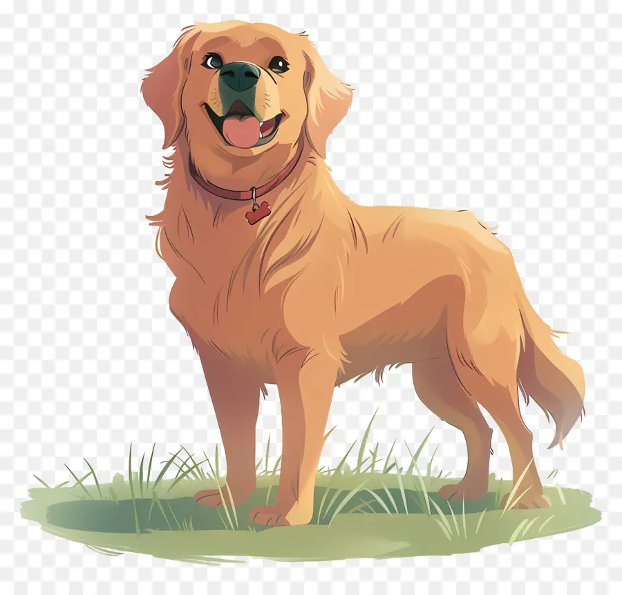 Chien Golden Retriever，Golden Retriever PNG