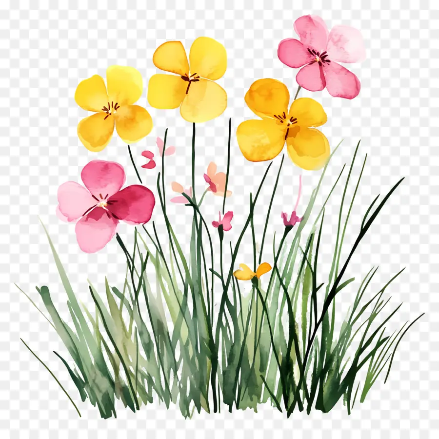 Bordure De Fleurs，Fleurs Sauvages PNG