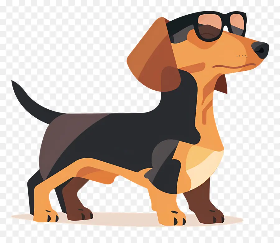 Chien Animé，Chien Avec Des Lunettes De Soleil PNG