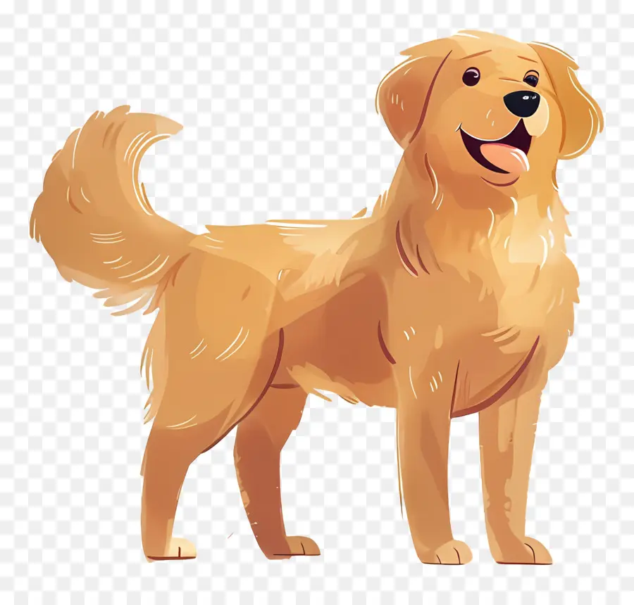 Chien Golden Retriever，Golden Retriever PNG