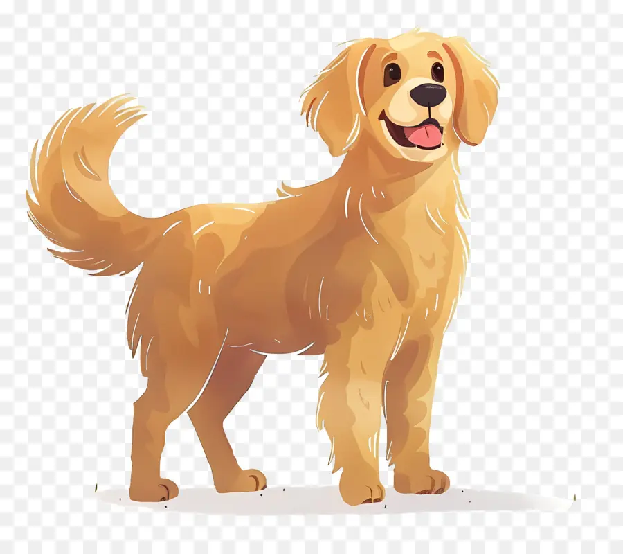 Chien Golden Retriever，Golden Retriever PNG