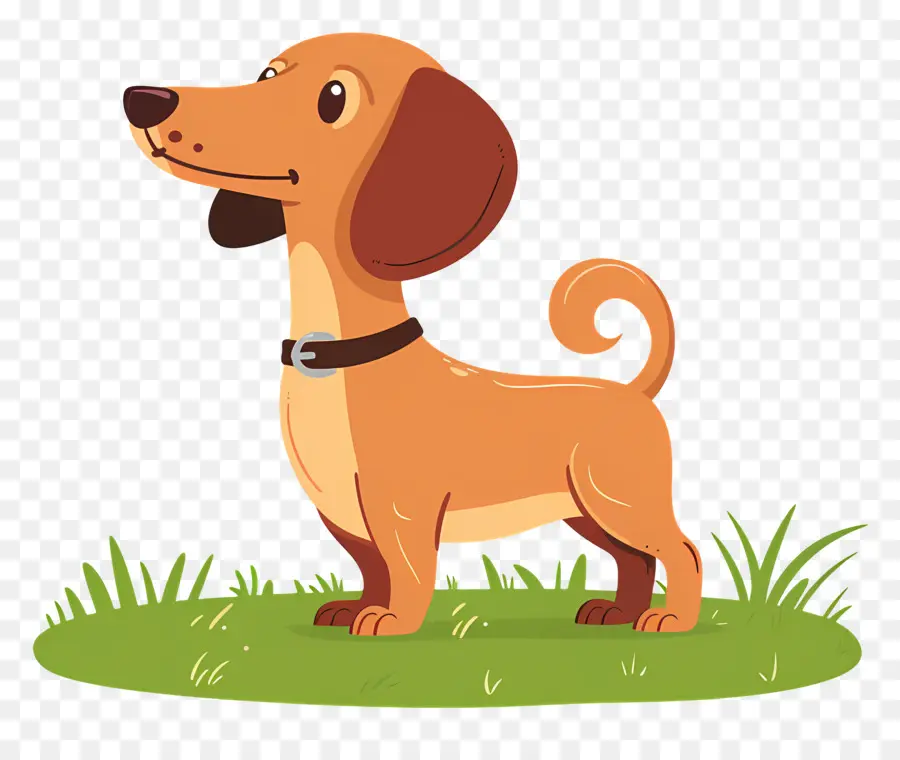 Chien Animé，Chien Marron PNG