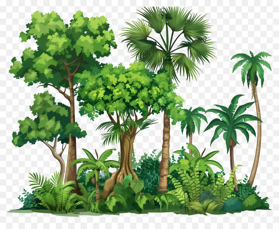 Grand Arbre，Arbres Verts PNG