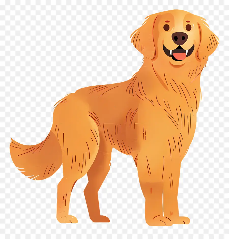 Chien Golden Retriever，Golden Retriever PNG