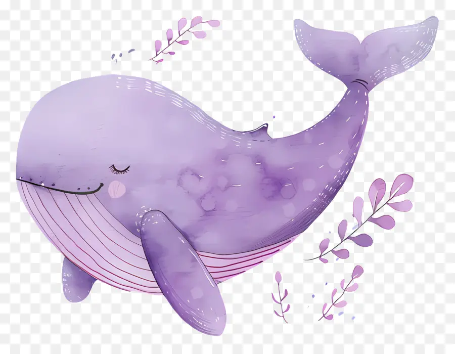 Baleine Aquarelle，Baleine De Dessin Animé PNG