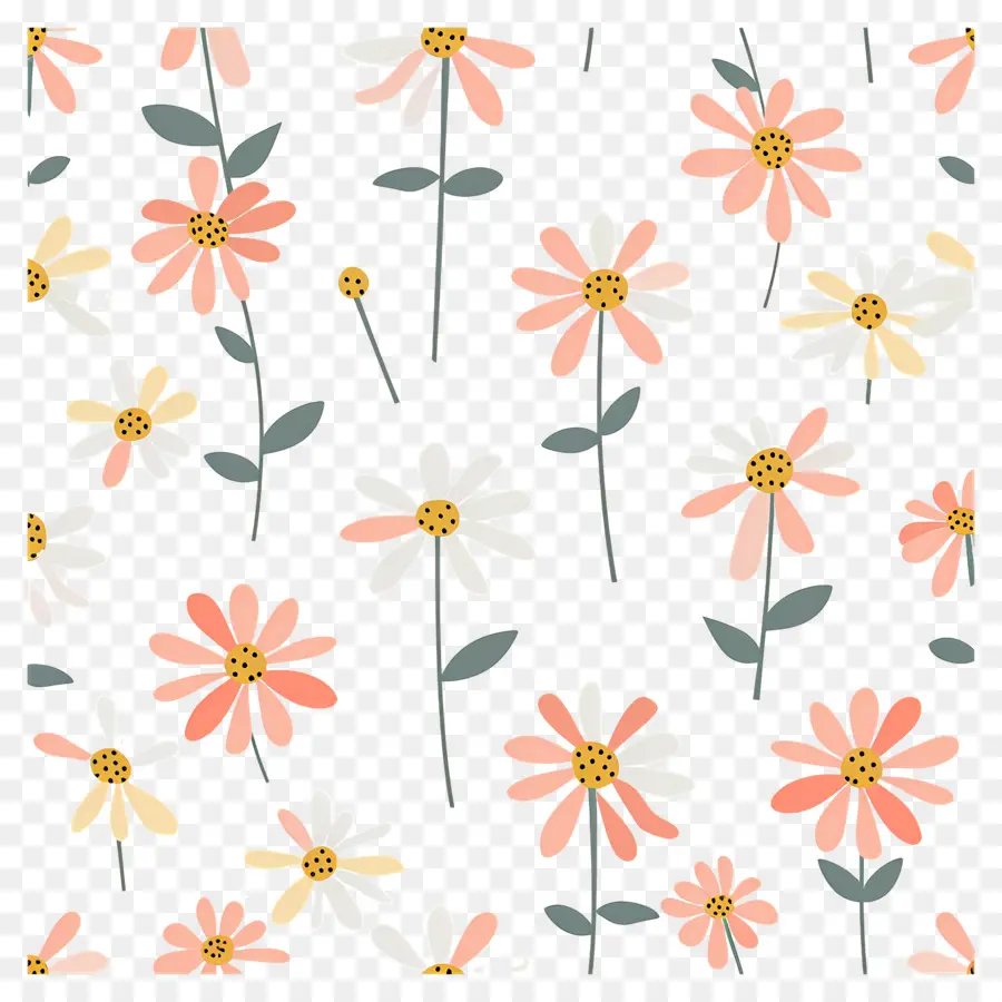 Motif De Marguerite，Marguerites PNG